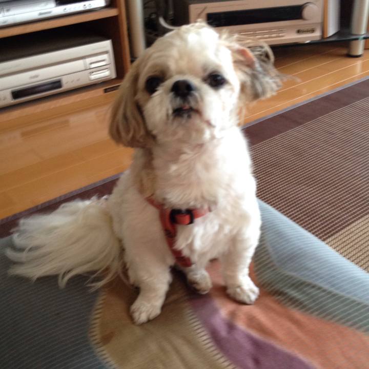 372d50bf 4e20 4229 be0a 28cea5585c44