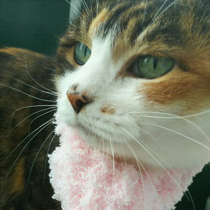 372d6fd7 53a4 40c2 9bd2 4046e477e6a5