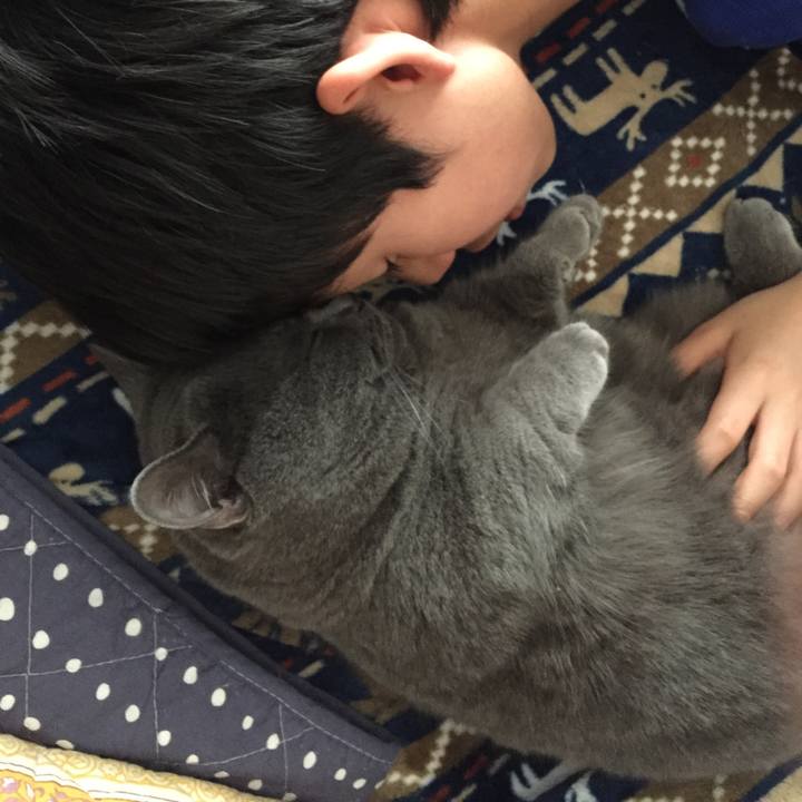 372f3a9d 33d7 4a95 a862 92ebe5e9a57a