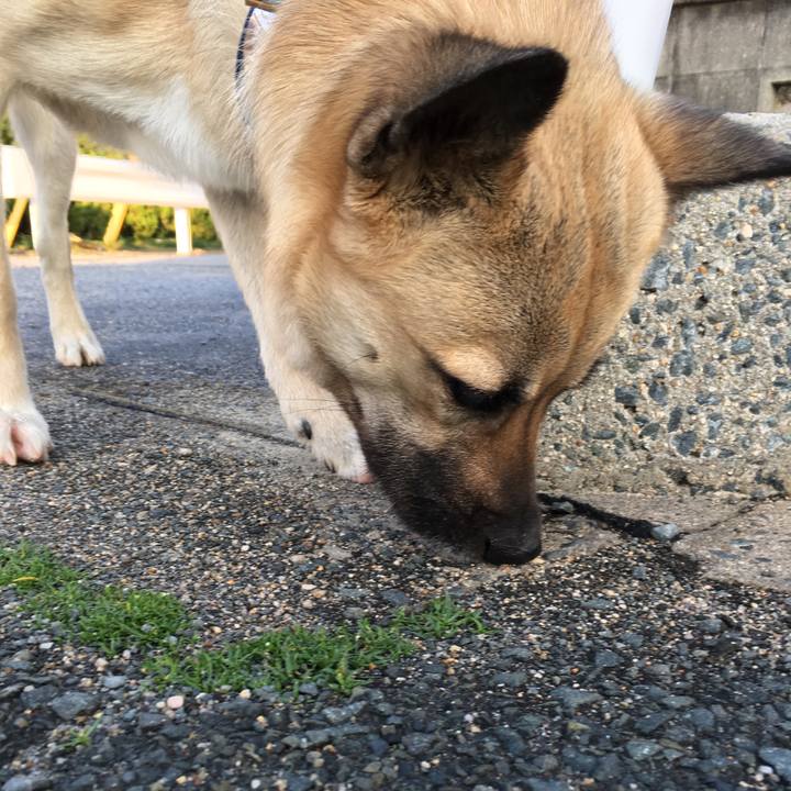 3730507e 01fa 4810 8d3b f8e3986c8d30