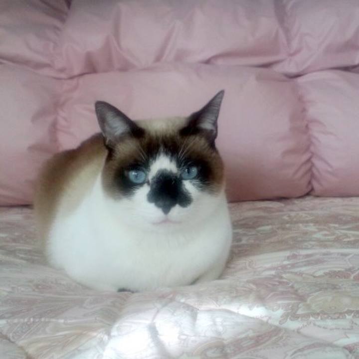 37308f37 2093 457a ba41 565d74d69b05