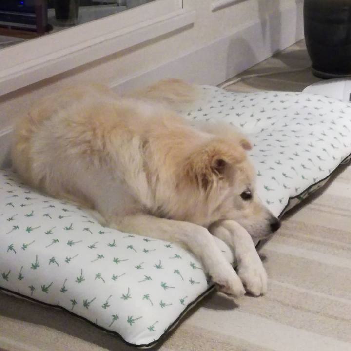 3730a2de 96e1 4b94 bbd9 a1068f81979e