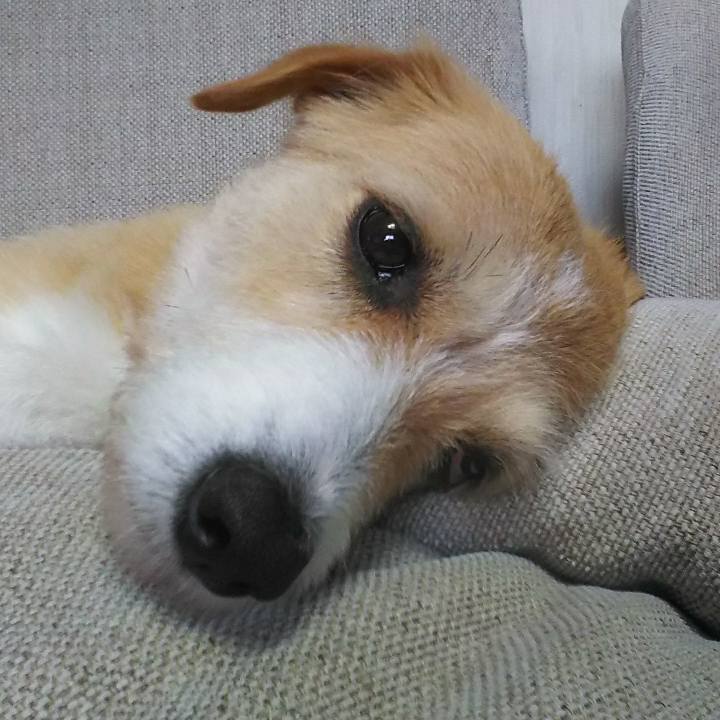 3730c777 b12d 4495 9195 1302c4ec1fae