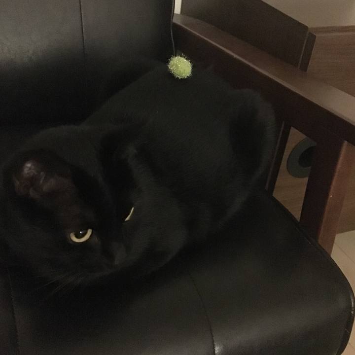 3730cae2 20a0 4bc6 b8f4 a55d6fa14b8f