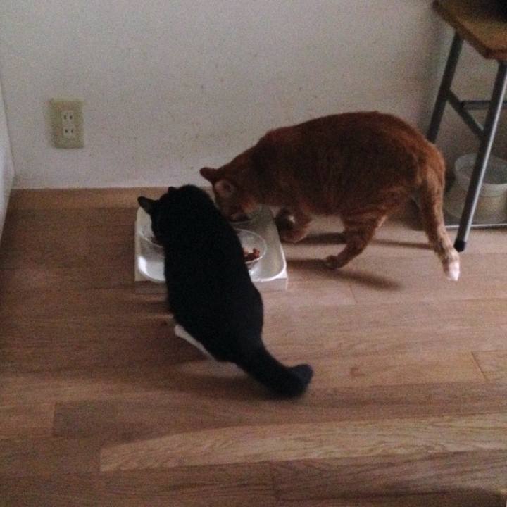 3730d24d 6961 4f90 9902 7b502d9f7408