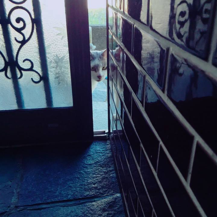 37315c6a 163b 4a32 9998 b44bba5ee8b2