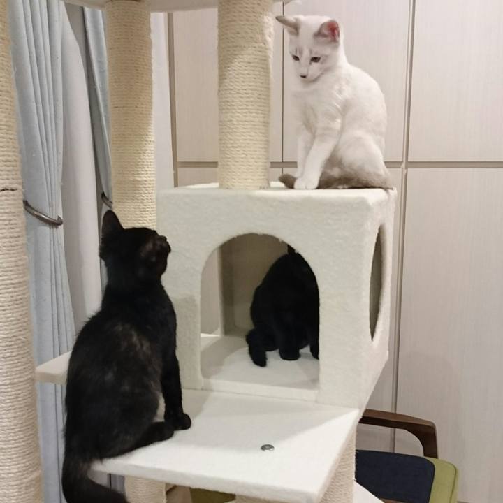 3731875a f5c9 47d8 9be0 5254091d342b