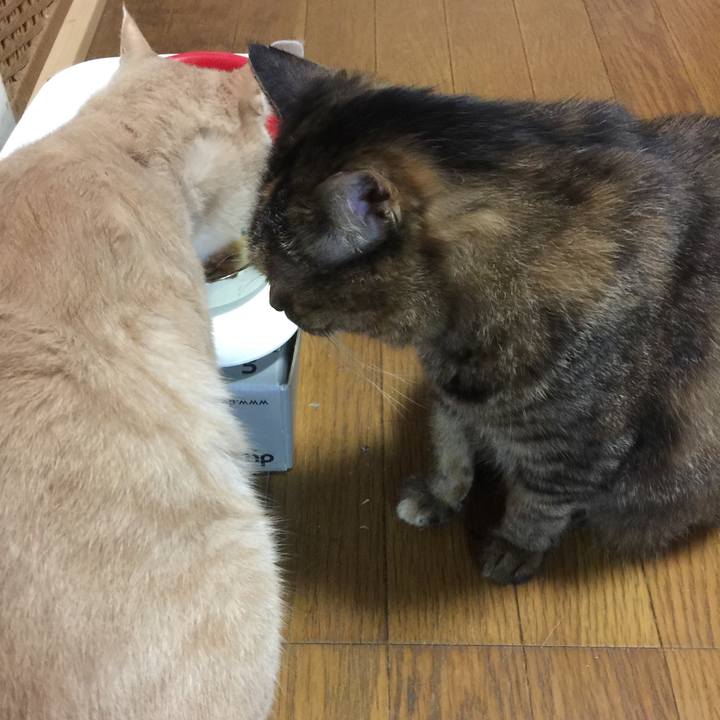 37323ccc 8cb6 48e5 b38d 21b3664e99a8