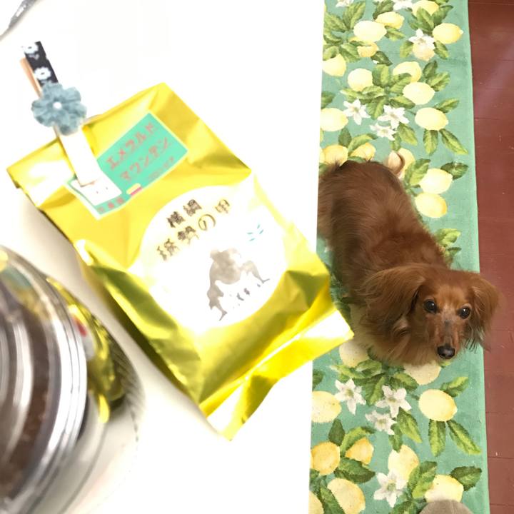 37327117 9ab2 49c0 b8ee a7931f2ccf17