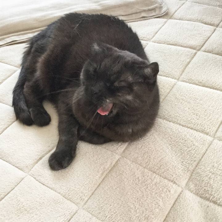 3732e806 6248 4166 b4a0 61afcc07858c