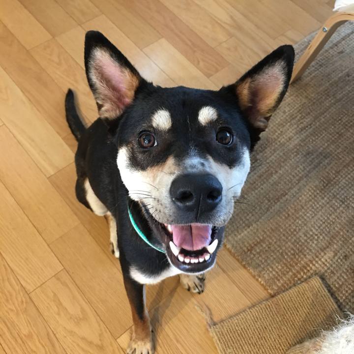 37334216 98ce 4469 b5ff 01661b0af0e9