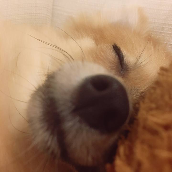 37334e4f 58b6 4754 b570 d15b105c7342