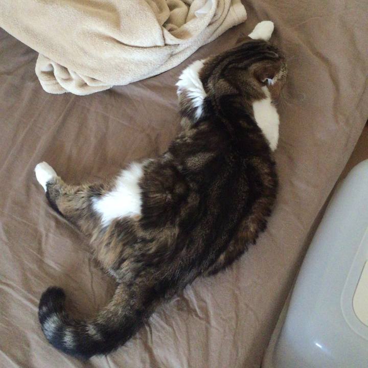 3733a690 3bf5 4a01 9b19 049e5917e045