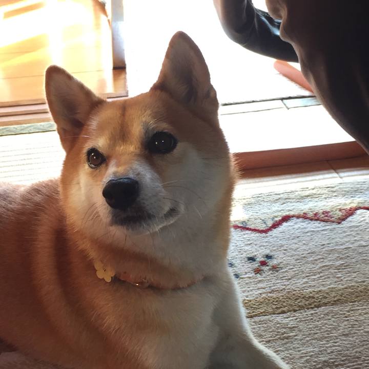 3733b8d1 9a28 4ab4 b083 3bc87697f98b