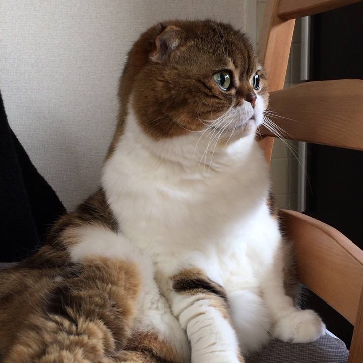 3733f3fb 7f63 46a6 8d5d de00f9ba3ec7