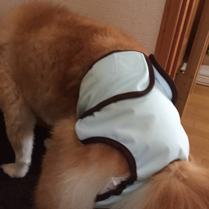 37342d50 85cc 4031 bbee b146f12fea15