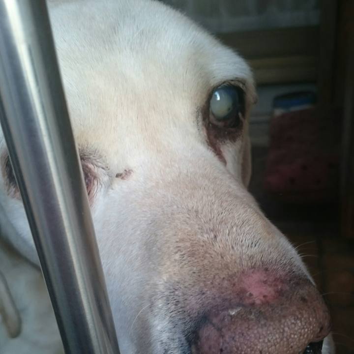 37346260 3de1 47bd b29c f030a198f4b8