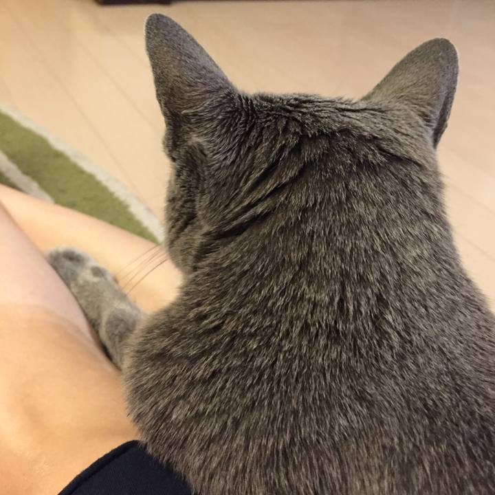 37348fd2 1818 4f1c b5cd 699d391c8b29