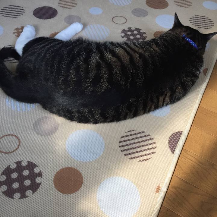 3734cadc 0efb 4e12 8865 3afd9a0461d3