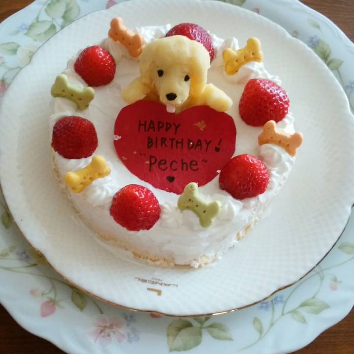 37351e28 0d07 45cf a483 b1bb4f43b2b9