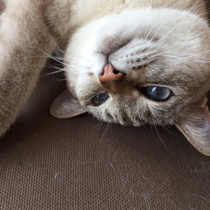 37353f33 77b8 4812 911e 18f8830950d6