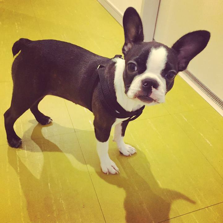 37360b40 1a7c 4c2a 9b25 9029619af13e