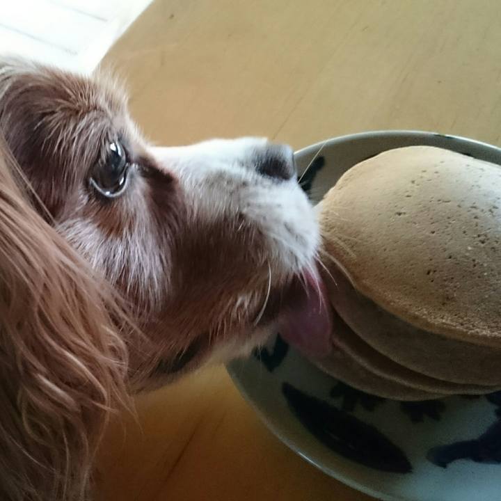 3736158b 290d 4c43 a3f6 ddf99d6908c6