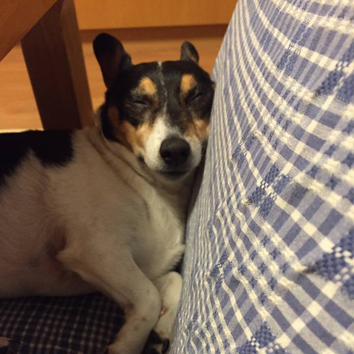 37363096 eaf6 4155 95b7 5a1aee0950e7