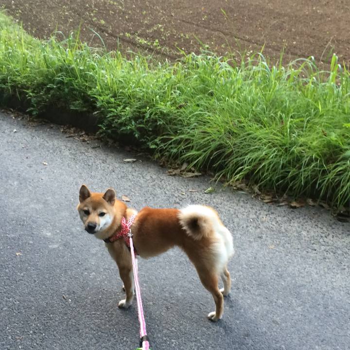 373648f2 2dd3 4c95 8b56 ee407b4c42af