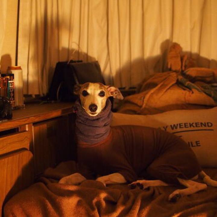 3736632e 72e9 49c8 aee1 93c41e50e3eb