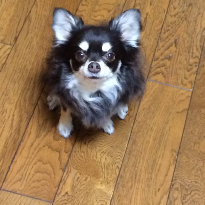 373679d9 f19f 4a57 a107 959b2191982a