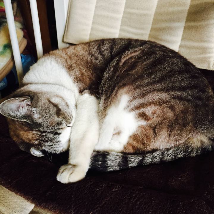 3736c4c5 55b0 4a8e a96c b4078c685b8a