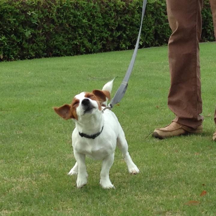 373749ea 74dd 4e06 bc85 acfd5460f710