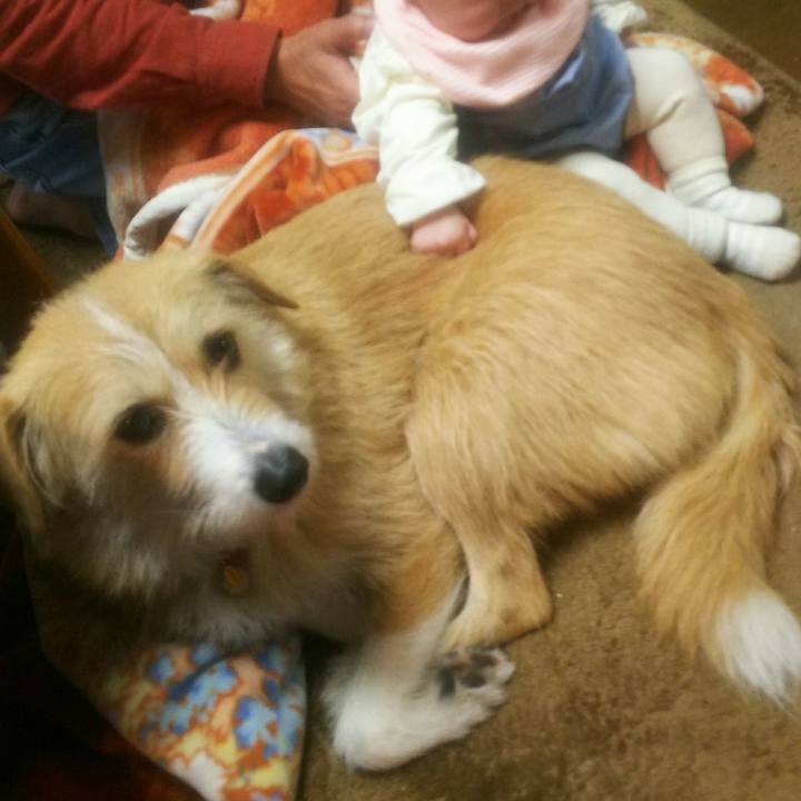 37378b81 d19c 461d b416 5b47122f12ca