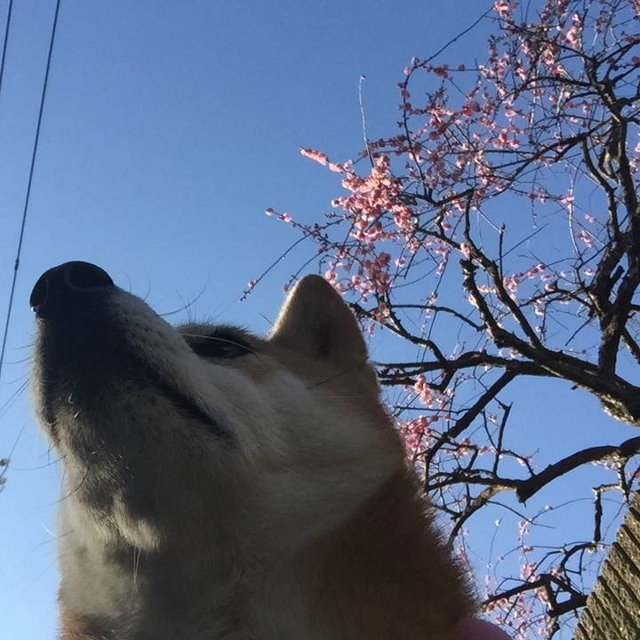 3738b43c 7fc3 4f67 8dac a90da9e8c070