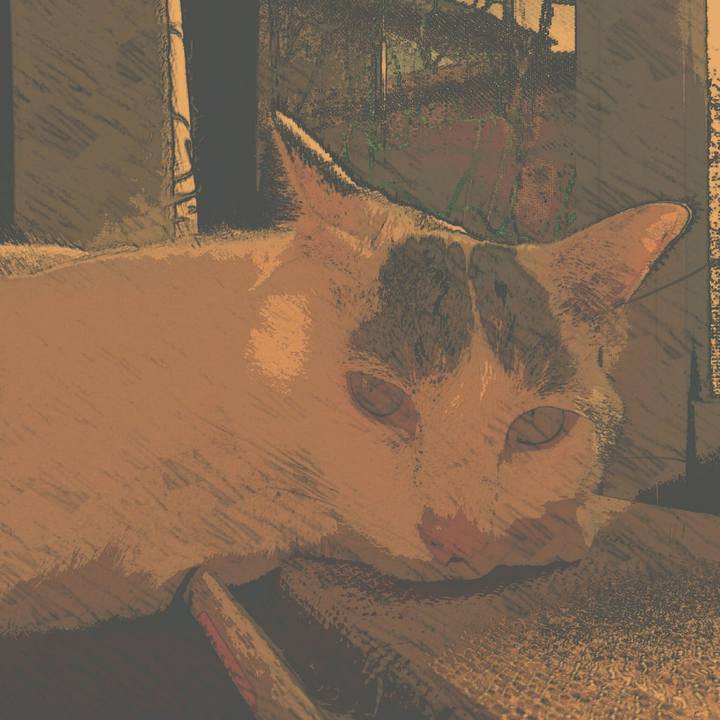 3738e83e 06bc 44c4 b847 8a3a365456e3