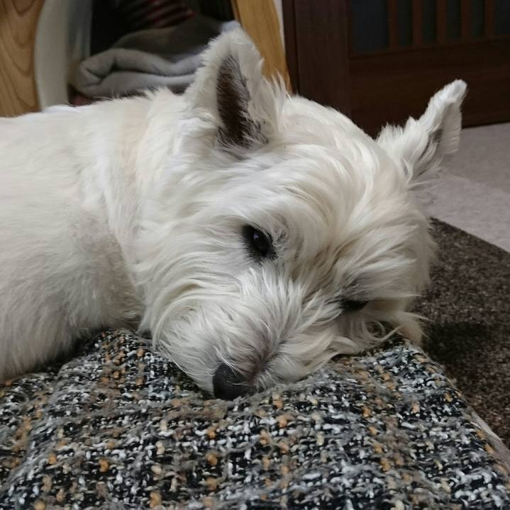 3738e97c c90c 447c bdb1 42ce690f2966