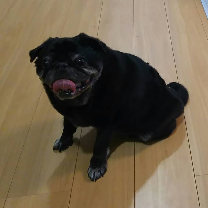 3738fb4a 834d 423a bcdf 4527cb9896ae