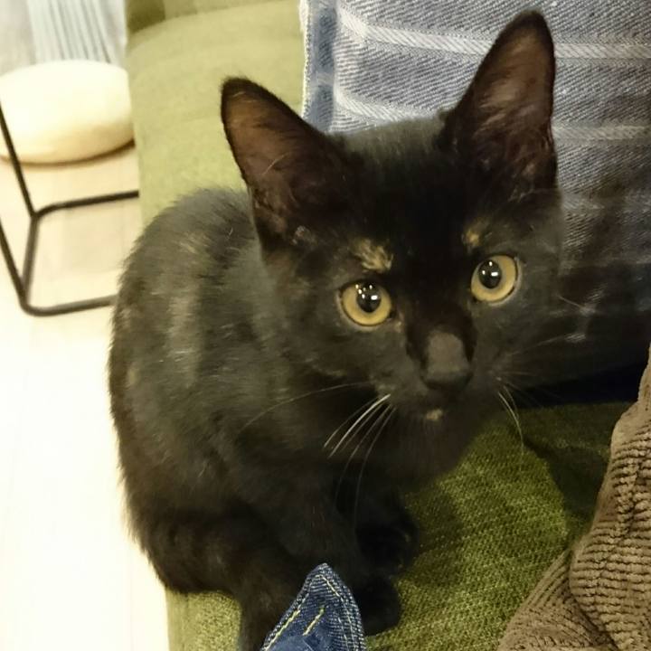 3739ad02 8595 4938 905c 98d33c964f84