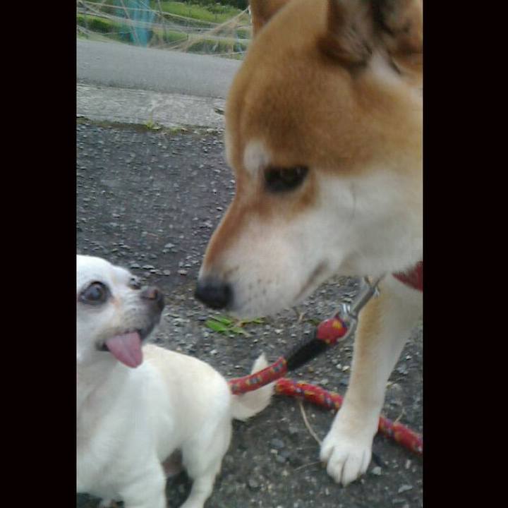 373a14e8 36b6 4e40 93da 10043722718f