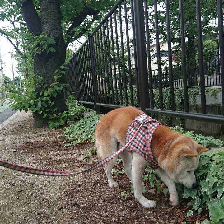 373a28f2 227a 447b 826c 1d2970030772