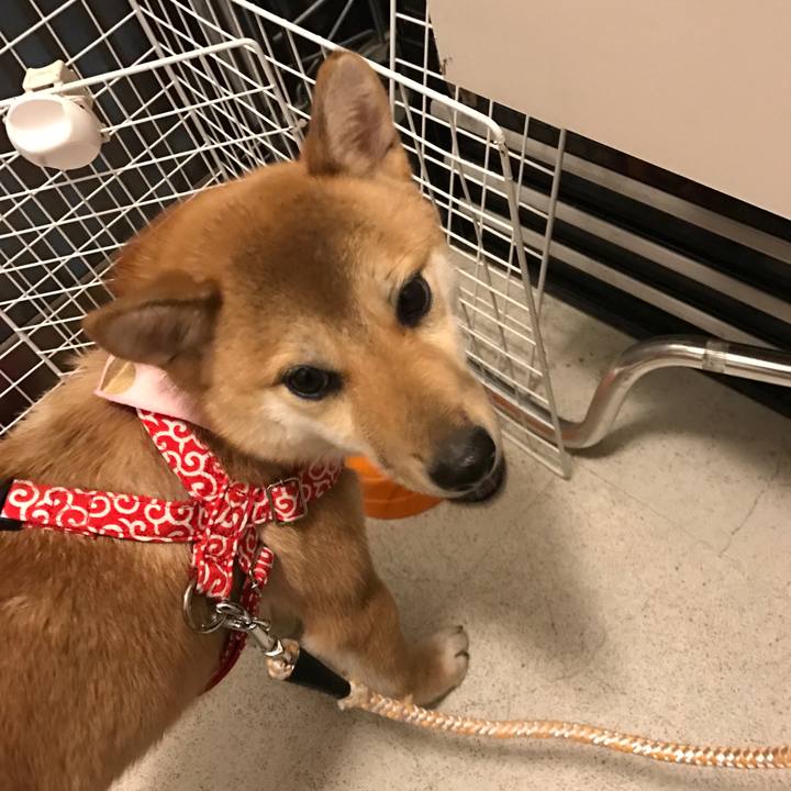 373a75c2 e6a9 4c1f 93b2 097b885e1afd