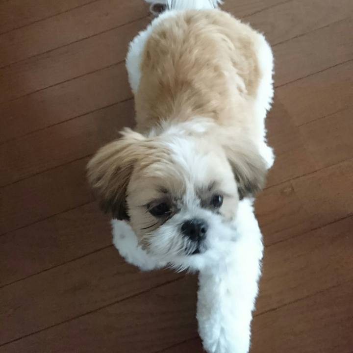 373b5fcc 33e0 4744 b9b3 45303e349e67