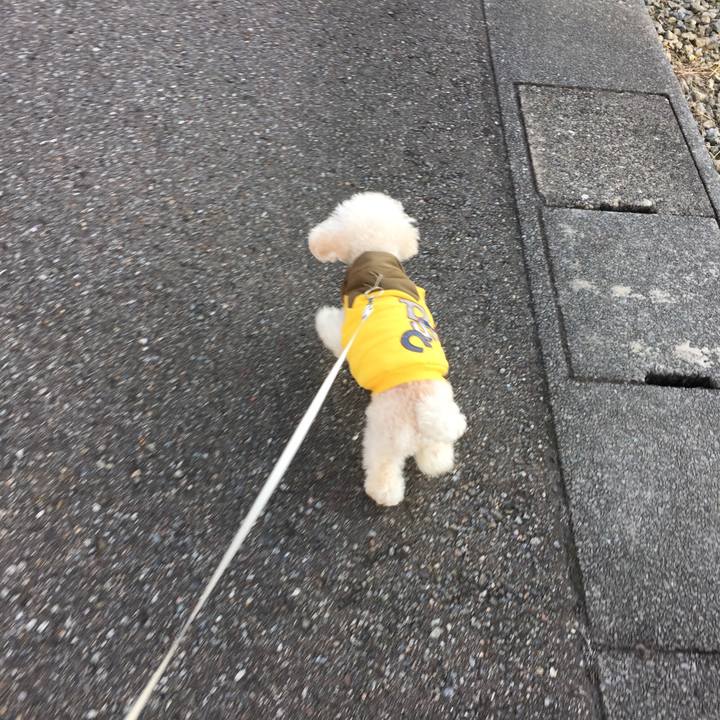 373b6f93 032c 46ac 818b 59361a9c824e