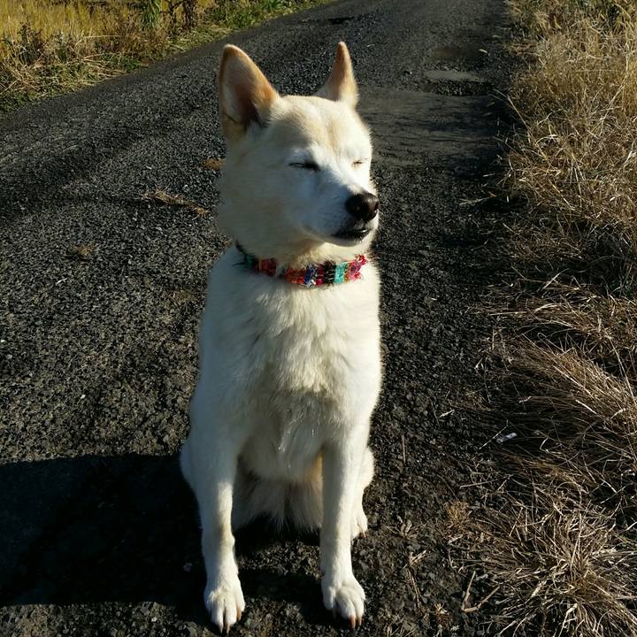 373c058e b2fc 4e70 9c15 0436ee3c8efb