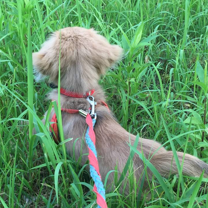 373c4197 ad31 4b23 a072 3608d17ea7ae