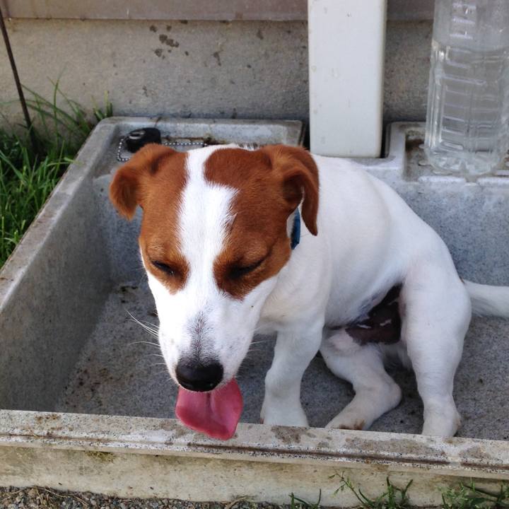 373d7186 a3aa 44a8 afc8 da94b2fccb87