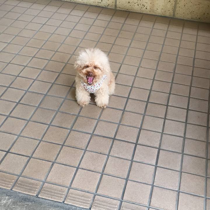 373dc501 4383 4fe6 82c4 1246eb7783c7