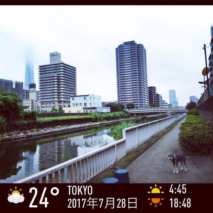 373dc769 3a3b 4b62 ac2d 17491de8ca39