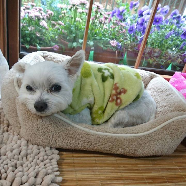 373ddc5b b2e2 4e20 a2ad d5e9f3e640f9